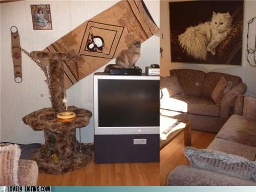 Kitty is King. Don't You Forget it.