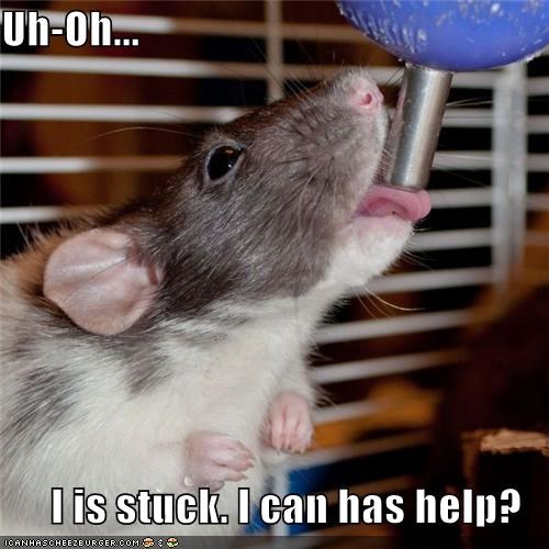 Uh-Oh...  I is stuck. I can has help?