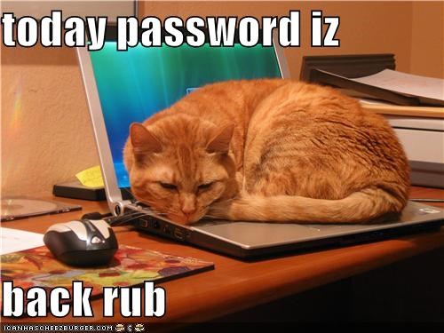 today password