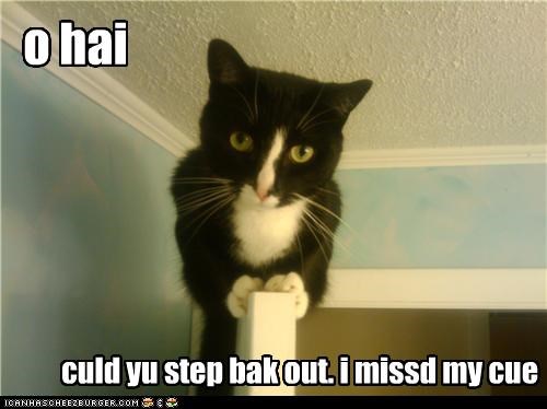 o hai
