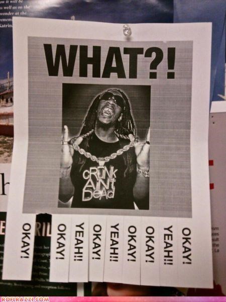 What? OKAYYY!