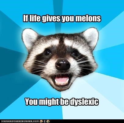 Male Pun Raccoon: What an Idiom