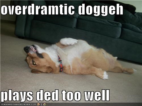 overdramtic doggeh