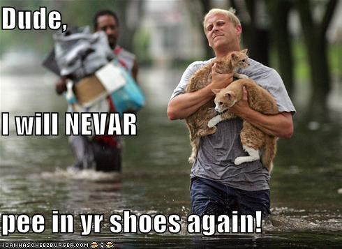 Dude, I will NEVAR pee in yr shoes again!