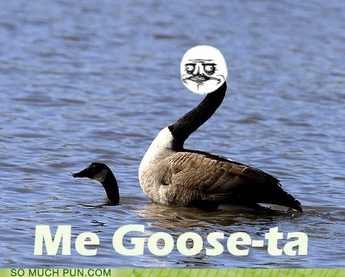 Me Goose-ta