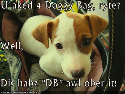 U aked 4 Doggy Bag, ryte? Well, Dis habz "DB" awl ober it!