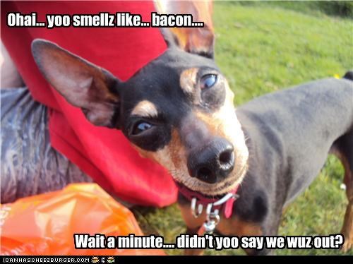 You gotz some 'splainin to do laydee...