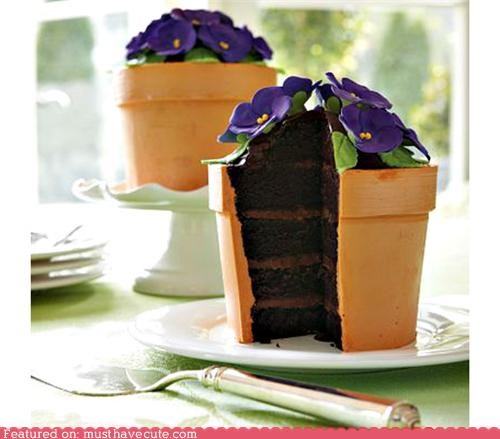 Epicute: Flower Pot of Wonders