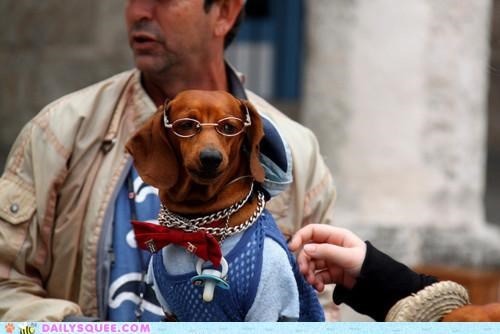 Acting Like Animals: One Dapper Dachshund