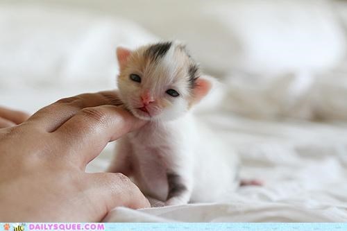 What Did You Wake Me For?
