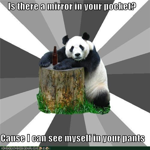 Pickup Line Panda: Reflects Well on Him