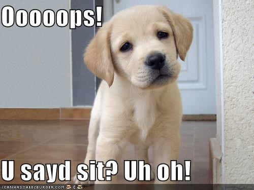 Ooooops!  U sayd sit? Uh oh!