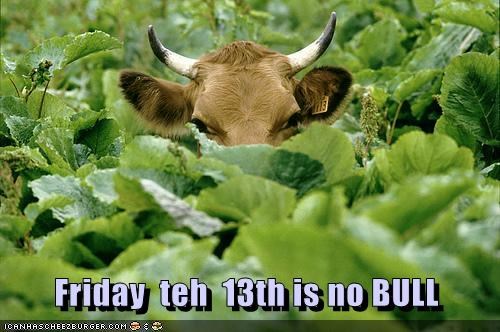 Friday  teh  13th is no BULL