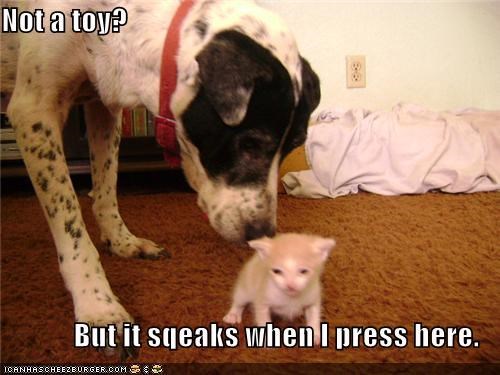 Not a toy?