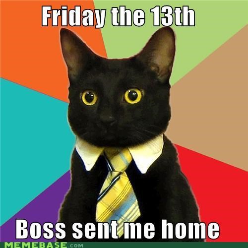 Business Cat: You Lucked Out