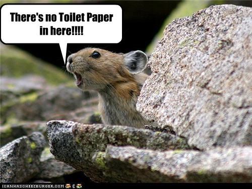 There's no Toilet Paper in here!!!!