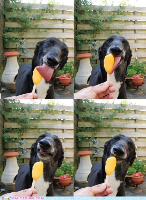 One Delicious Pupsicle