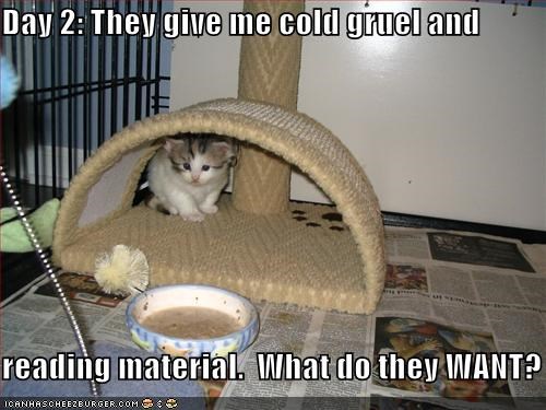 Day 2: They give me cold gruel and  reading material.  What do they WANT?