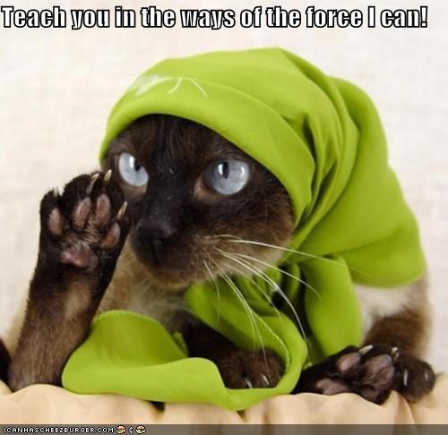 Teach you in the ways of the force I can!