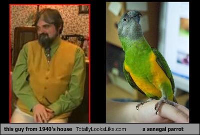 This Guy From "The 1940s House" Totally Looks Like A Senegal Parrot