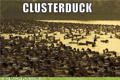 This Whole Situation is a Total...