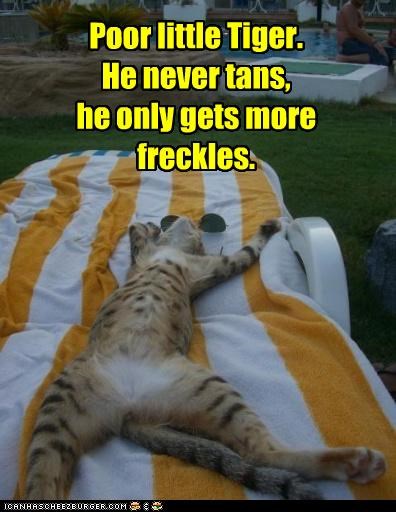 Poor little Tiger.