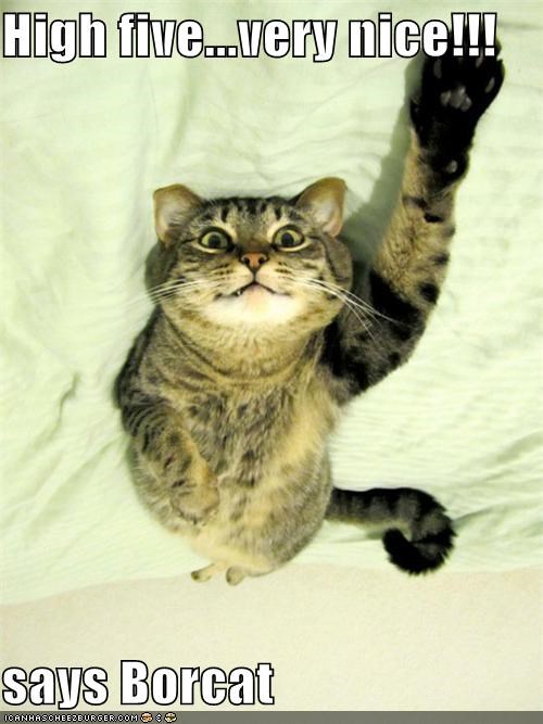 High five...very nice!!!  says Borcat