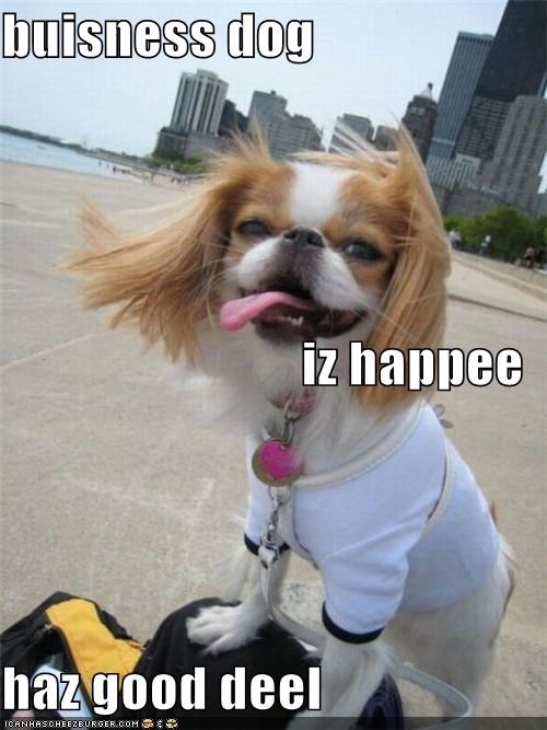 buisness dog iz happee haz good deel