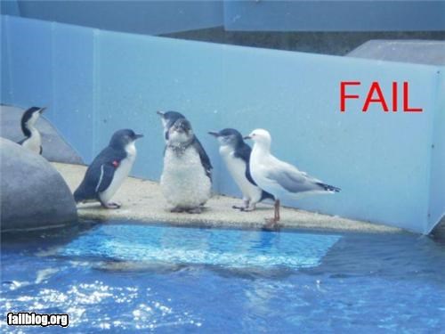 Fitting In FAIL