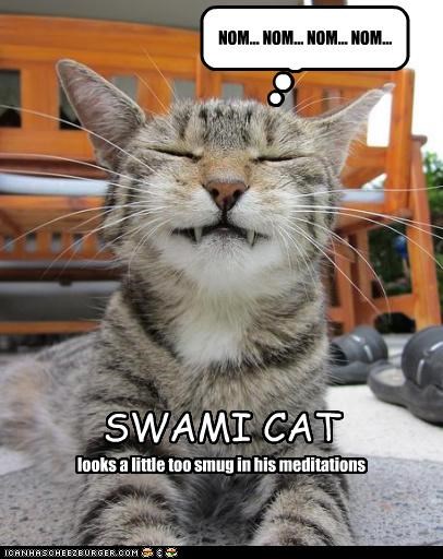 Swami cat