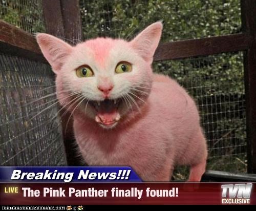 Breaking News!!! - The Pink Panther finally found!