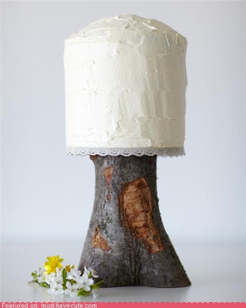 Epicute: Woodland Festival Cake
