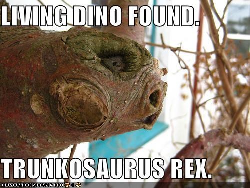 LIVING DINO FOUND.  TRUNKOSAURUS REX.