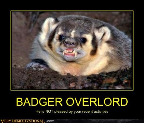 BADGER OVERLORD