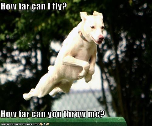 How far can I fly?