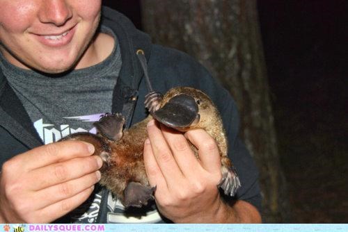 Squee Spree: Hanging on for Dear Life