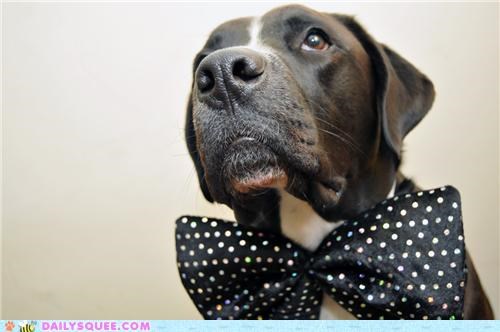 Blade and his tie