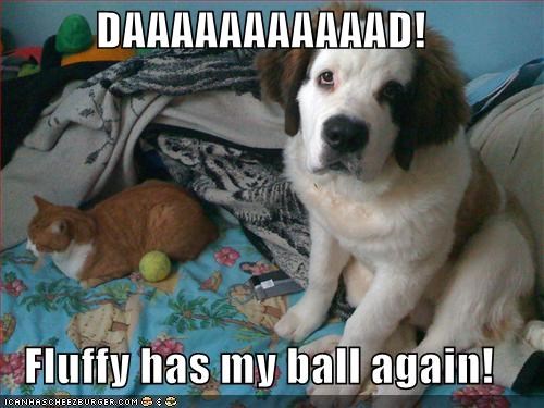 DAAAAAAAAAAAD!