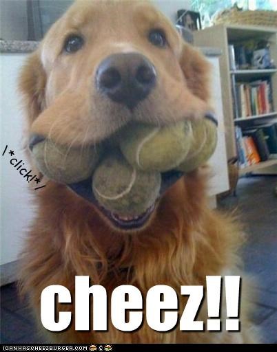 cheez!!