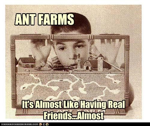ANT FARMS
