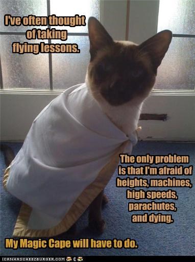 Up, up and away!