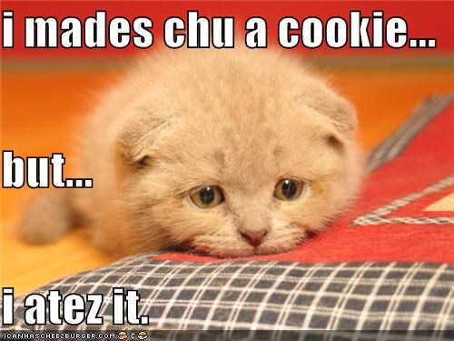 i mades chu a cookie... but... i atez it.