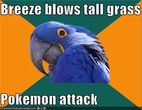 Paranoid Parrot: Cue Battle Music