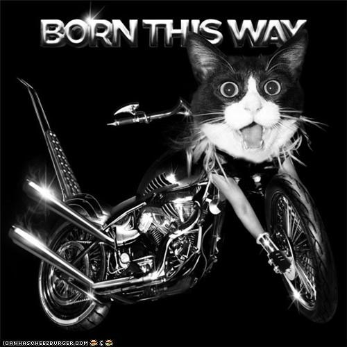 Born This Way