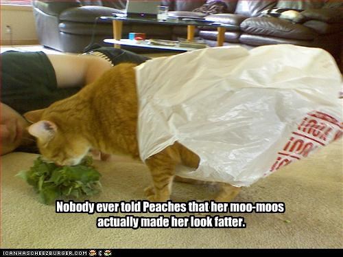 Nobody ever told Peaches