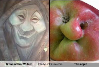 Grandmother Willow Totally Looks Like This Apple