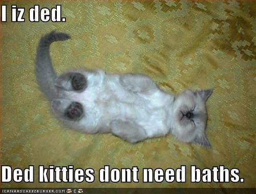 I iz ded.  Ded kitties dont need baths.