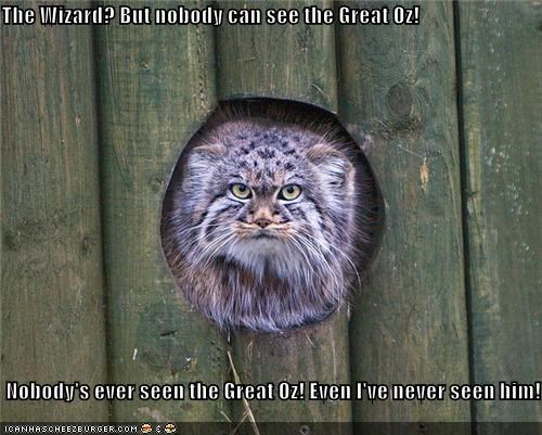 The Wizard? But nobody can see the Great Oz!    Nobody's ever seen the Great Oz! Even I've never seen him!