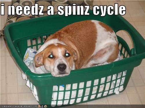 i needz a spinz cycle