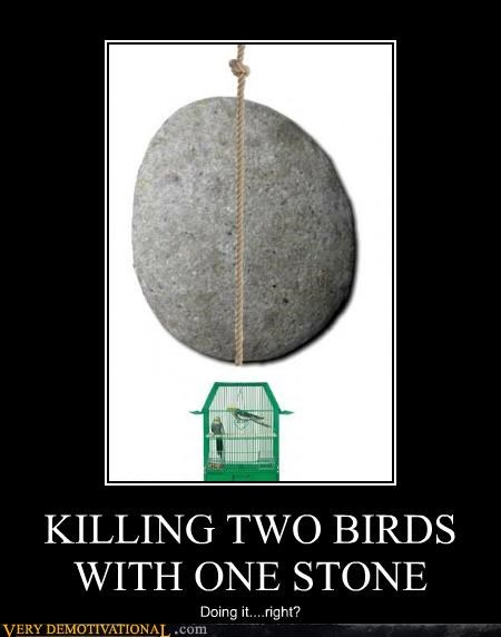 KILLING TWO BIRDS WITH ONE STONE